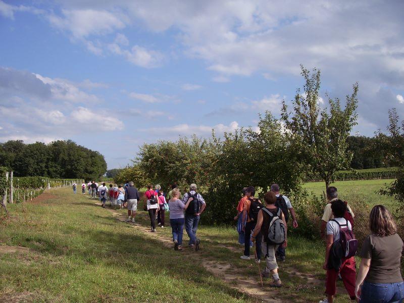 Randonnée pédestre et repas par Margueron s'Anime