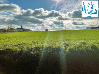 Terrain - 10 222 m²