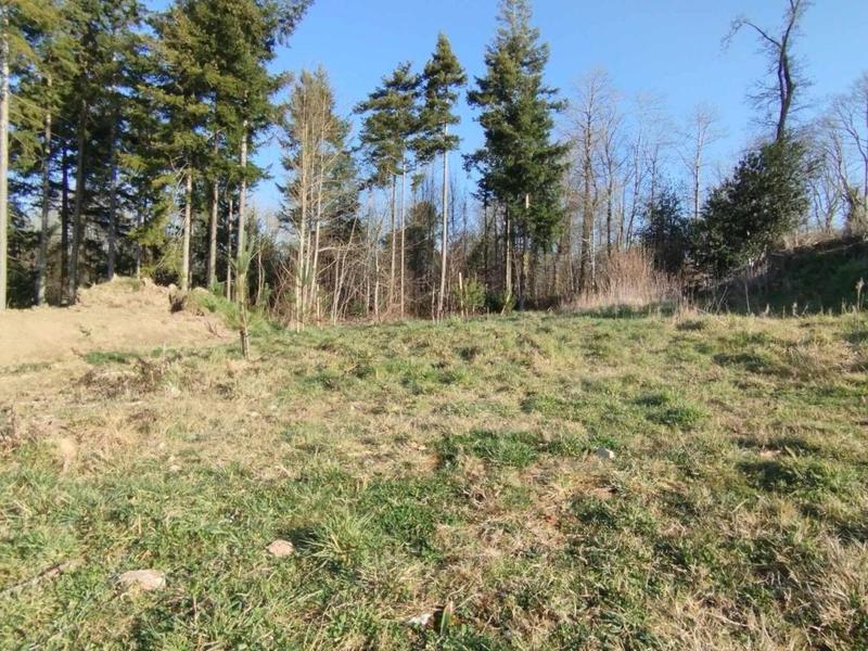 Terrain constructible - 735 m²