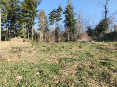 Terrain constructible - 735 m²