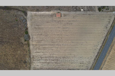 Terrain agricole - 8 710 m²