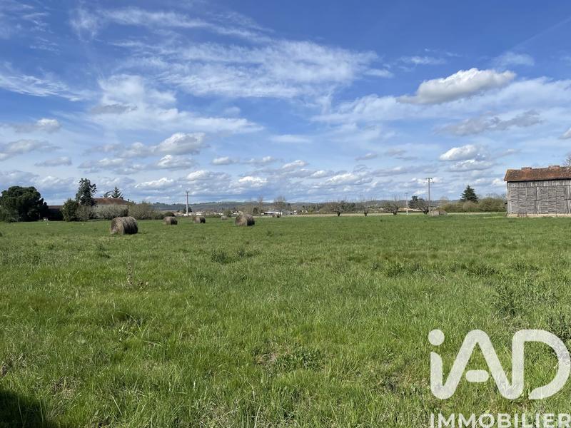 Terrain - 12 000 m²