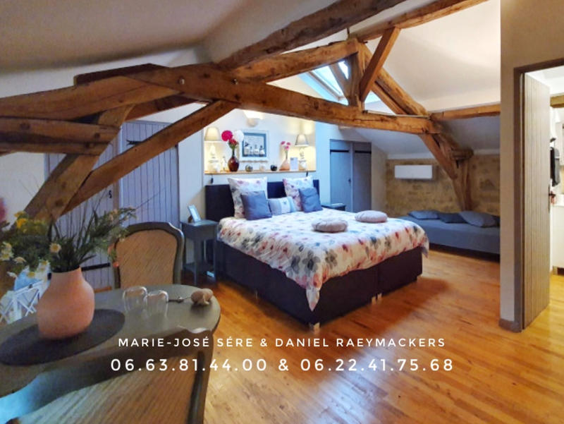 Demeure - 518 m² - 18 pièces