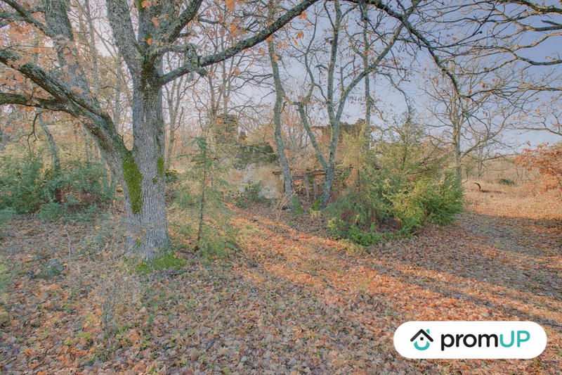 Terrain de loisirs - 44 605 m²