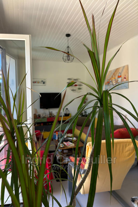 Viager - Maison - 50 m² - 3 pièces