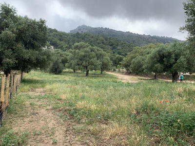 Terrain - 3 000 m²
