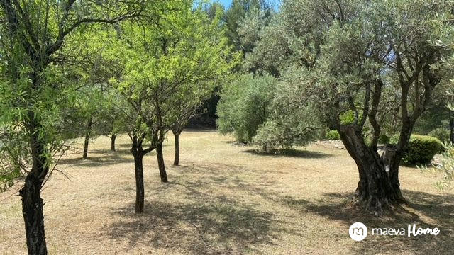 Terrain de loisirs - 6 500 m²