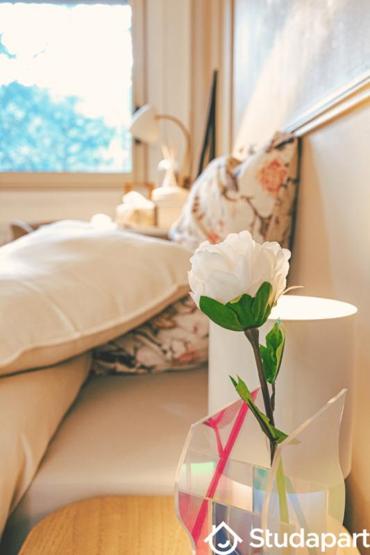 Chambre - 10 m² - 1 pièce