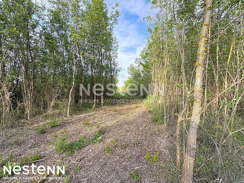 Terrain - 4 558 m²