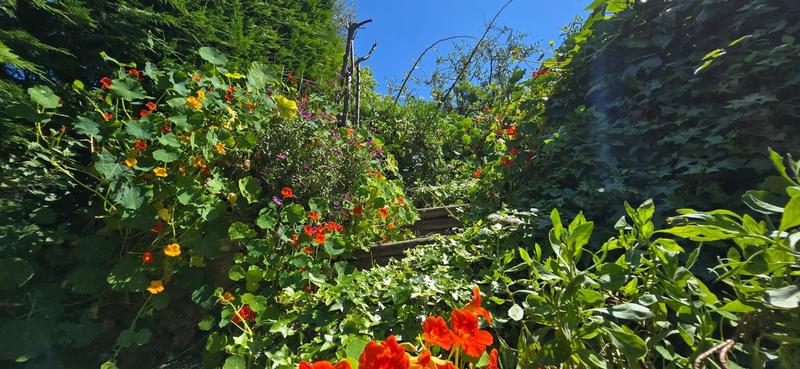 Villa - 129 m² - 4 pièces