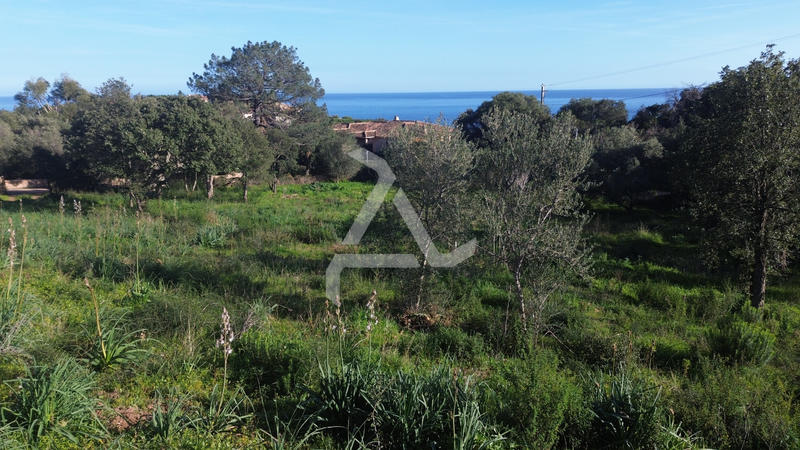 Maison - 41 m² - 1 pièce