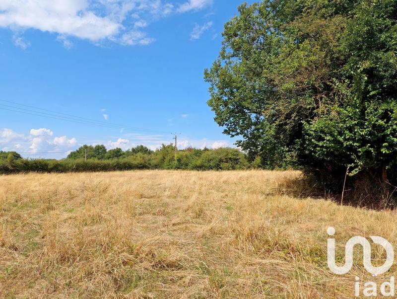 Maison de campagne - 66 m² - 3 pièces