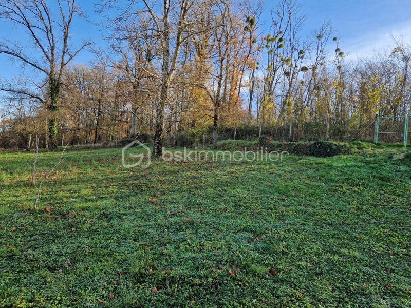 Maison de maîtres - 230 m² - 8 pièces