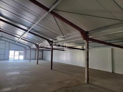 Local d'activités - 410 m²