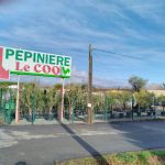 Pepiniere le Coq