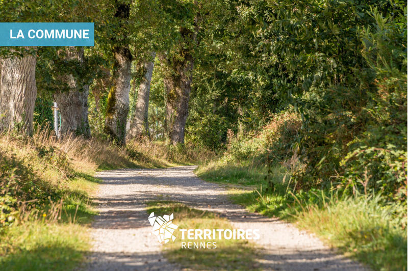 Terrain constructible - 306 m²