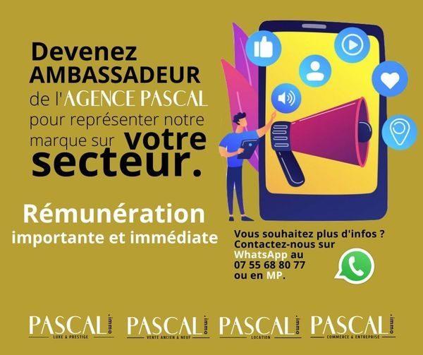 Appartement - 42 m² - 2 pièces