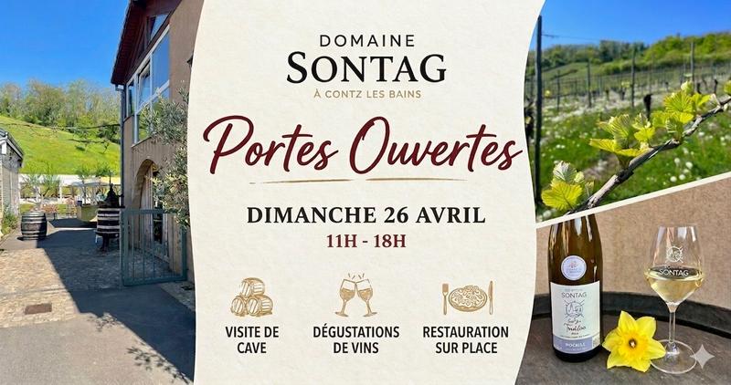 Portes Ouvertes - Domaine Sontag