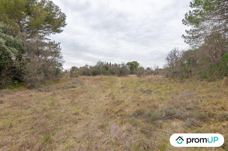 Terrain agricole - 10 601 m²