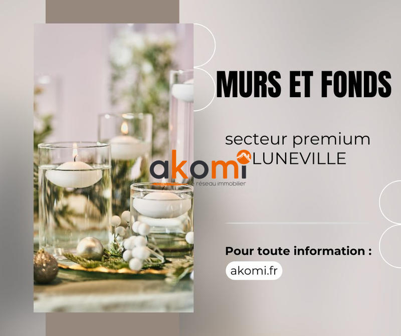 Fonds de commerce - Magasins - 250 m²