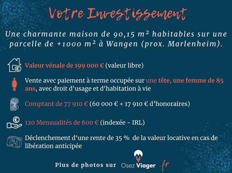 Viager - Maison ancienne - 90 m² - 4 pièces