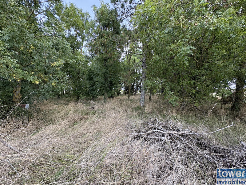 Terrain de loisirs - 1 476 m²