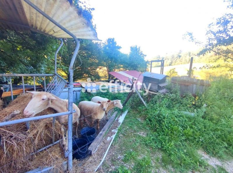 Maison - 195 m² - 5 pièces