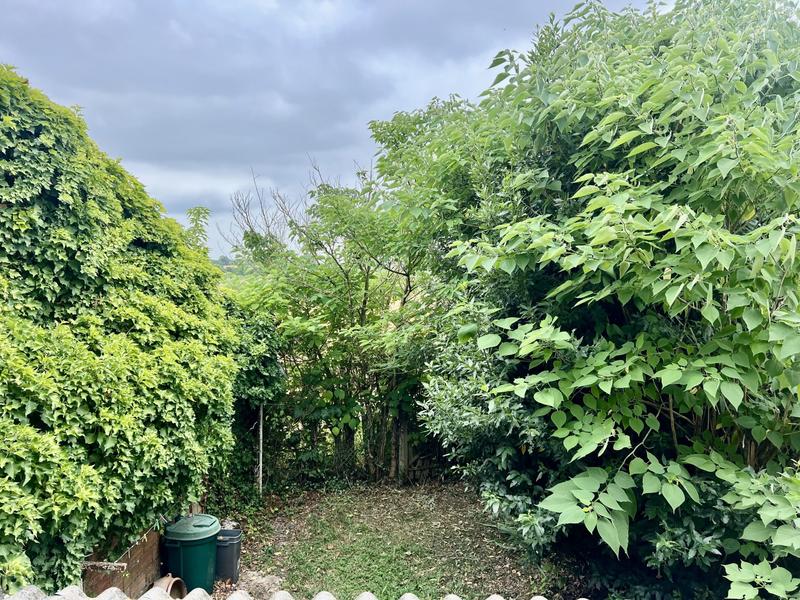 Maison traditionnelle - 50 m² - 3 pièces