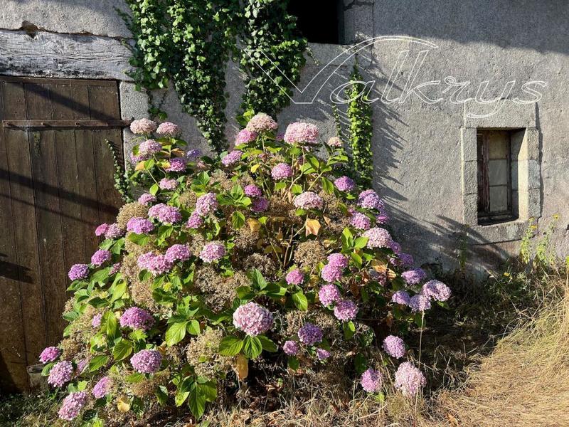 Corps de ferme - 300 m² - 4 pièces