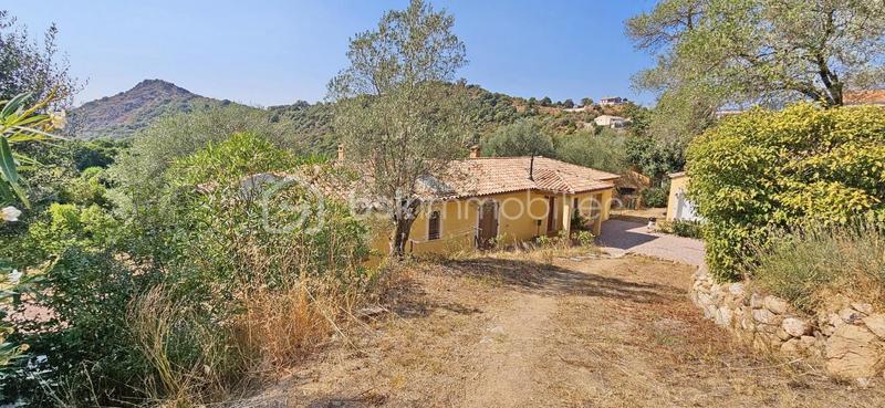 Maison - 246 m² - 9 pièces