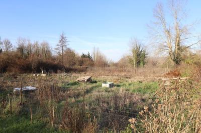 Terrain agricole - 1 136 m²