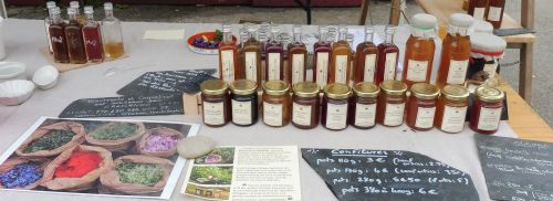 Bourrache et Coquelicot