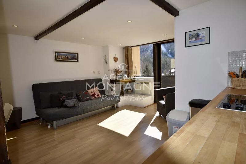 Appartement - 47 m² - 3 pièces