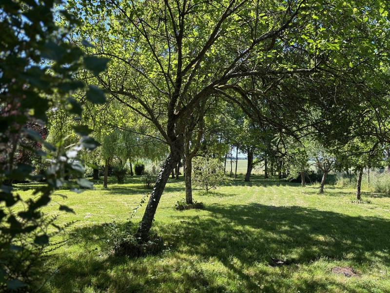 Maison ancienne - 132 m² - 6 pièces