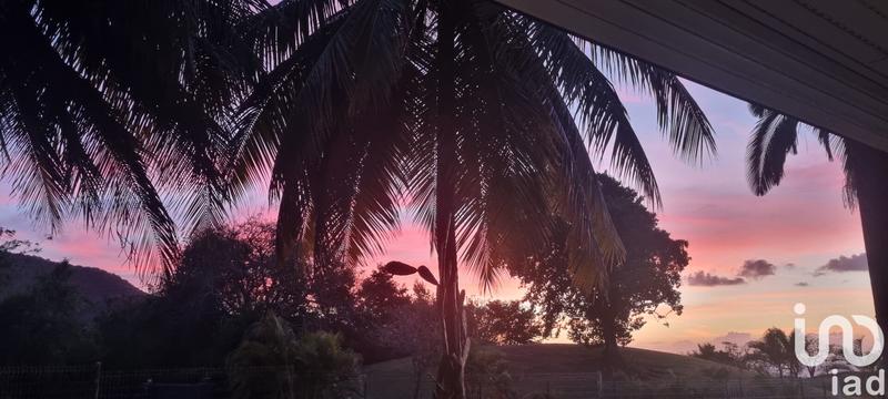 Appartement - 59 m² - 2 pièces