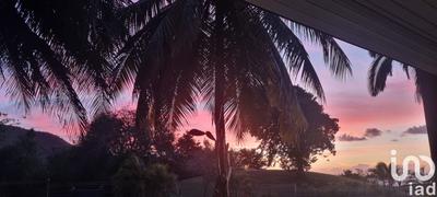 Appartement - 59 m² - 2 pièces