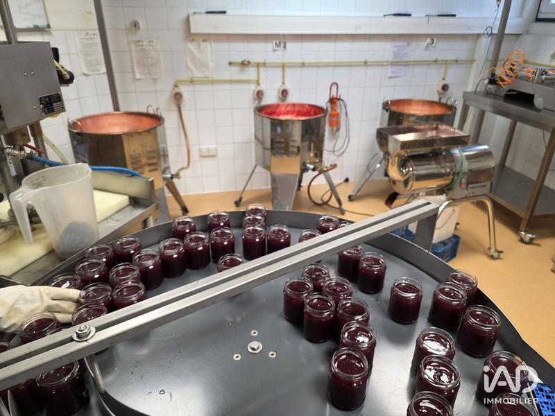 Local commercial - 350 m²