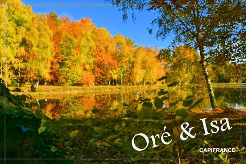 Terrain - 49 655 m²