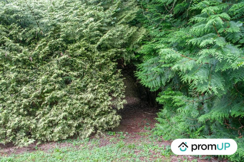 Terrain de loisirs - 6 460 m²