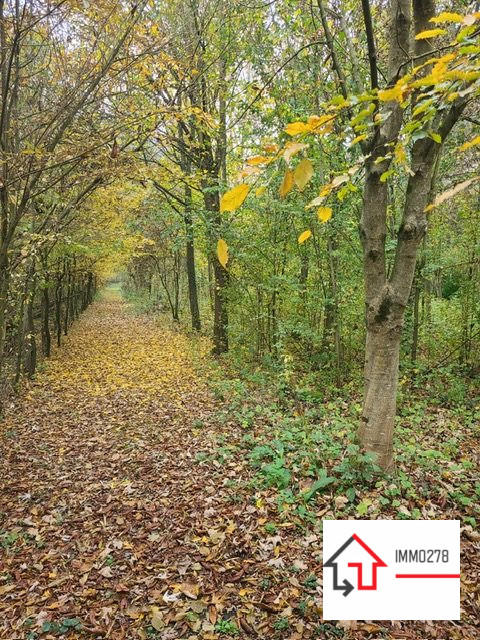 Châlet - 75 m² - 5 pièces