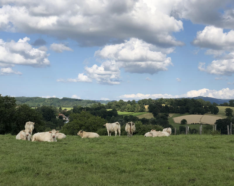 Maison - 70 m² - 5 pièces