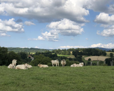 Maison - 70 m² - 5 pièces