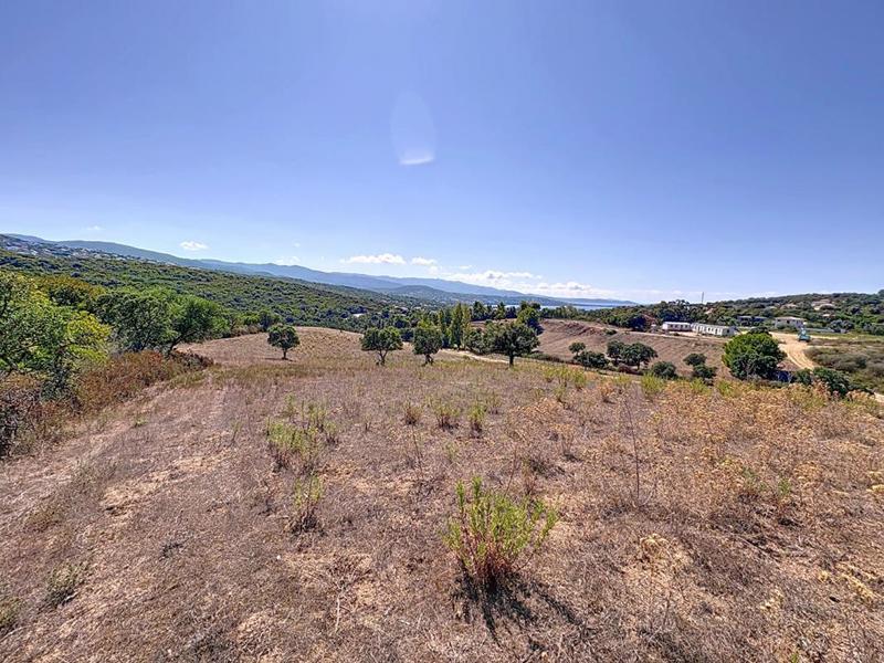 Terrain constructible - 5 000 m²