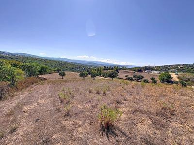 Terrain constructible - 5 000 m²