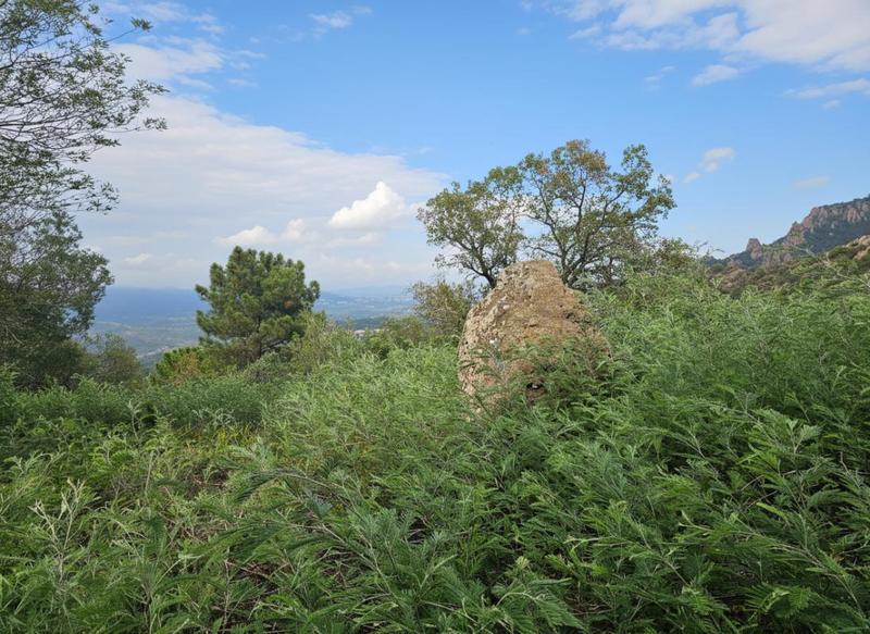 Terrain constructible - 21 850 m²