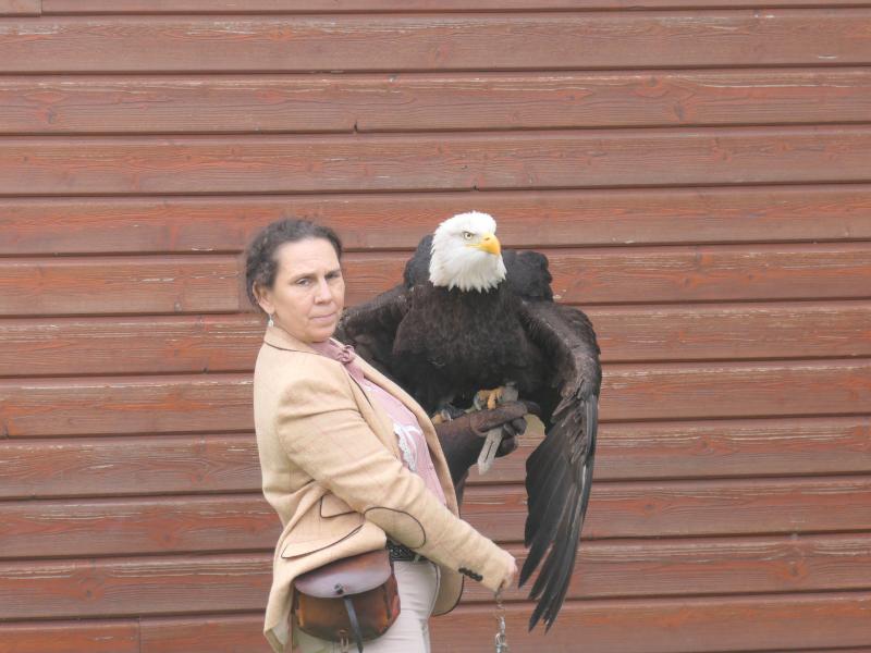 Fête des rapaces et "Spectacle de fauconnerie" à Terres d'Oiseaux