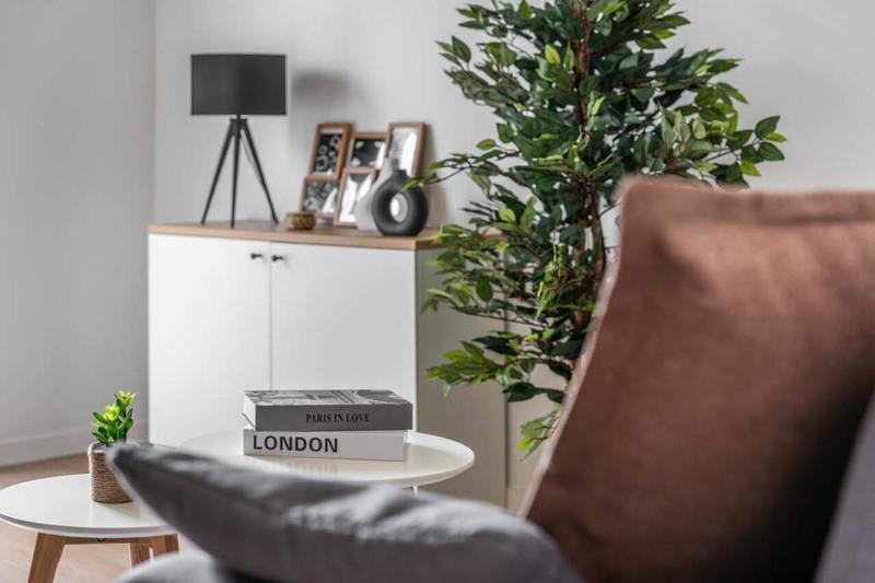 Studio - 19 m² - 1 pièce