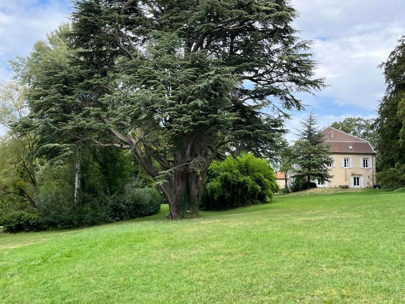 Maison de maîtres - 716 m² - 13 pièces