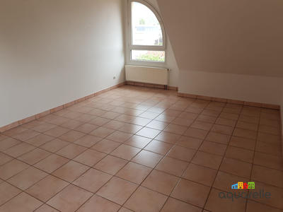 Appartement - 55 m² - 2 pièces