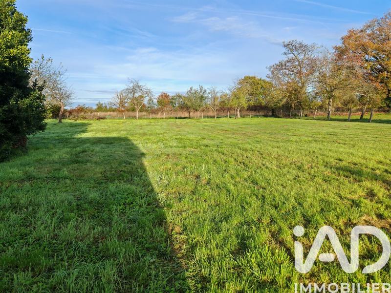 Maison de campagne - 85 m² - 3 pièces